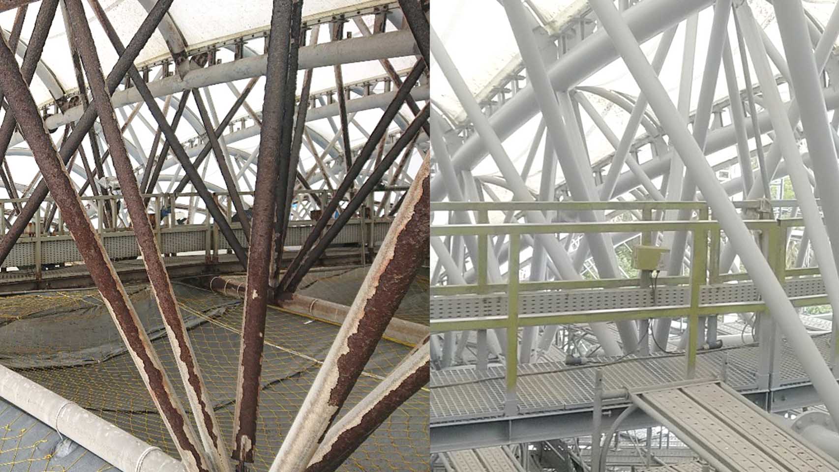 遊樂園工程案例 2 海豚區鋼骨更換及除鏽補漆工程